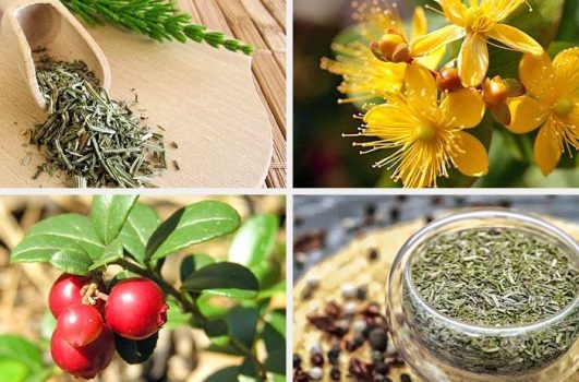 Травы от цистита