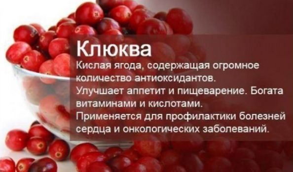 Клюква при цистите