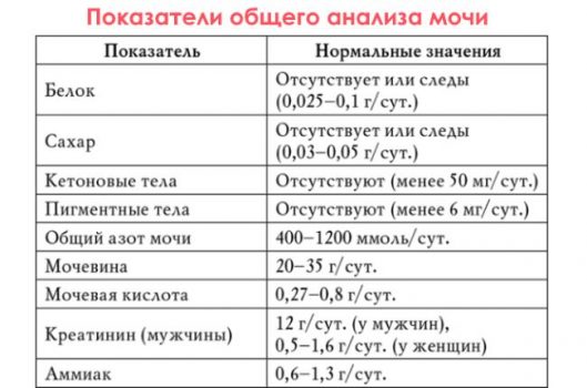 Анализ мочи при цистите