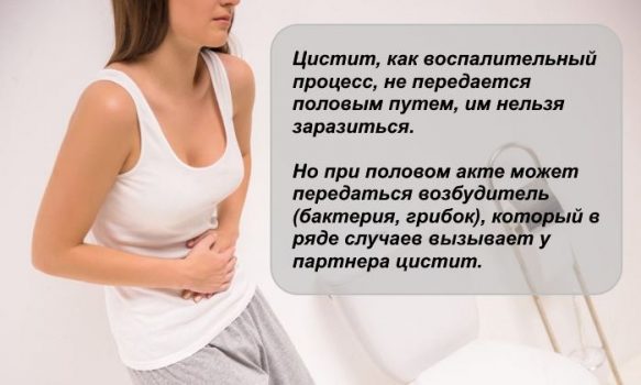 Цистит заразен или нет