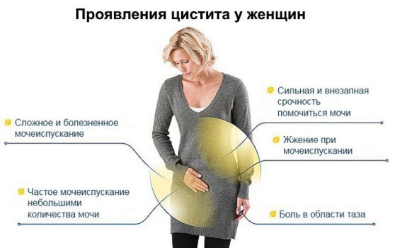 Как проявляется цистит