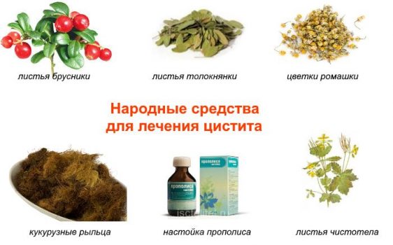 Лечение цистита народными средствами
