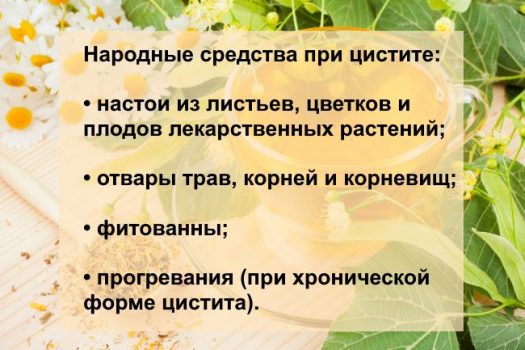 Народные средства от цистита