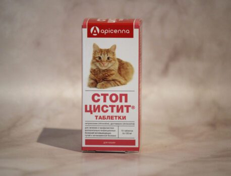 Лечение цистита у кошек, какие препараты